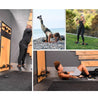 MaxPro Fitness Machine Portable Home Gym includes Bench & Wall Bracket- E1101-NNA-OR