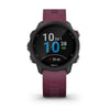 Garmin Forerunner 245 Smartwatch - CE010-02120-00