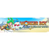 INNN Wonder Boy Asha Nintendo Switch - AVQ-IN-5824