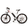 SAMEBIKE 26inch 350W 21 speed mountain electric bicycle black - MY-SM26