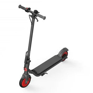 Segway Ninebot Kickscooter Zing, Solid Tyres with Synthetic Rubber - C20