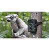 Technaxx TX-69 Hunting Camera / Wild Camera, LCD display - CE4719